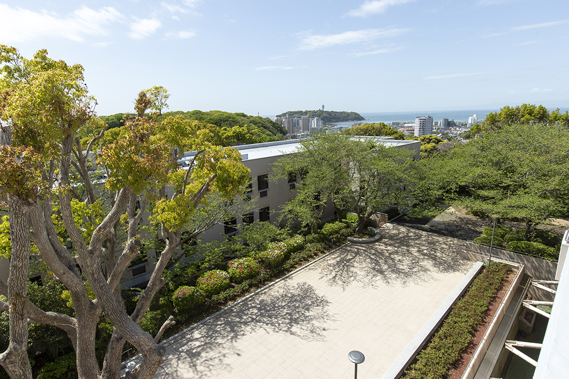 学校の屋上から江の島が見えます！