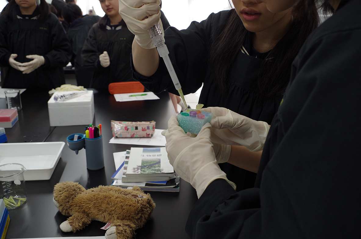 理科は実験の授業が楽しい！